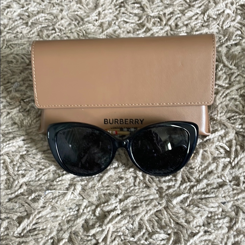 Burberry Black and Tan Sunglasses Classic Style